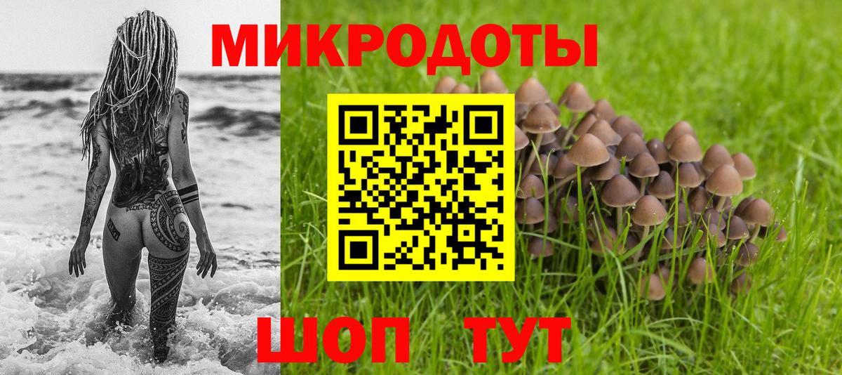Псилоцибиновые грибы Psilocybe Бирск