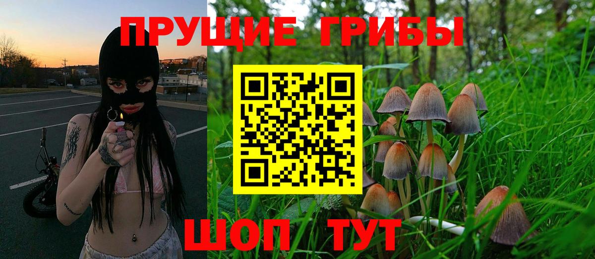 Бирск  Псилоцибиновые грибы Cubensis  Вход с VPN 